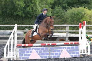 Class 6 - Fences not above 2'9